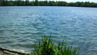 Erholung und Ruhe am Olchinger See