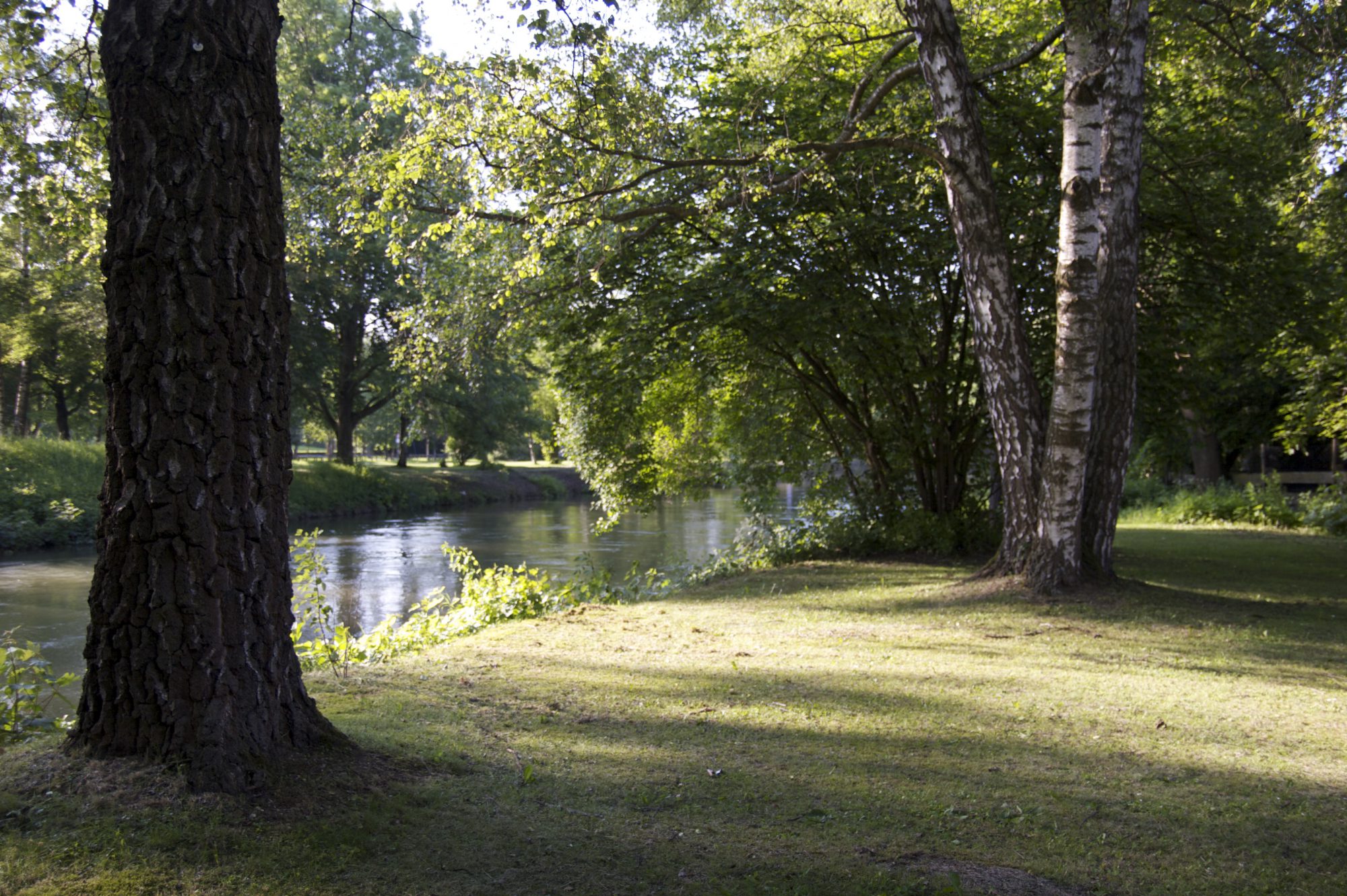 Sommerlicher Spaziergang an der Amper - Nähe Gröbenzell, Olching, FFB