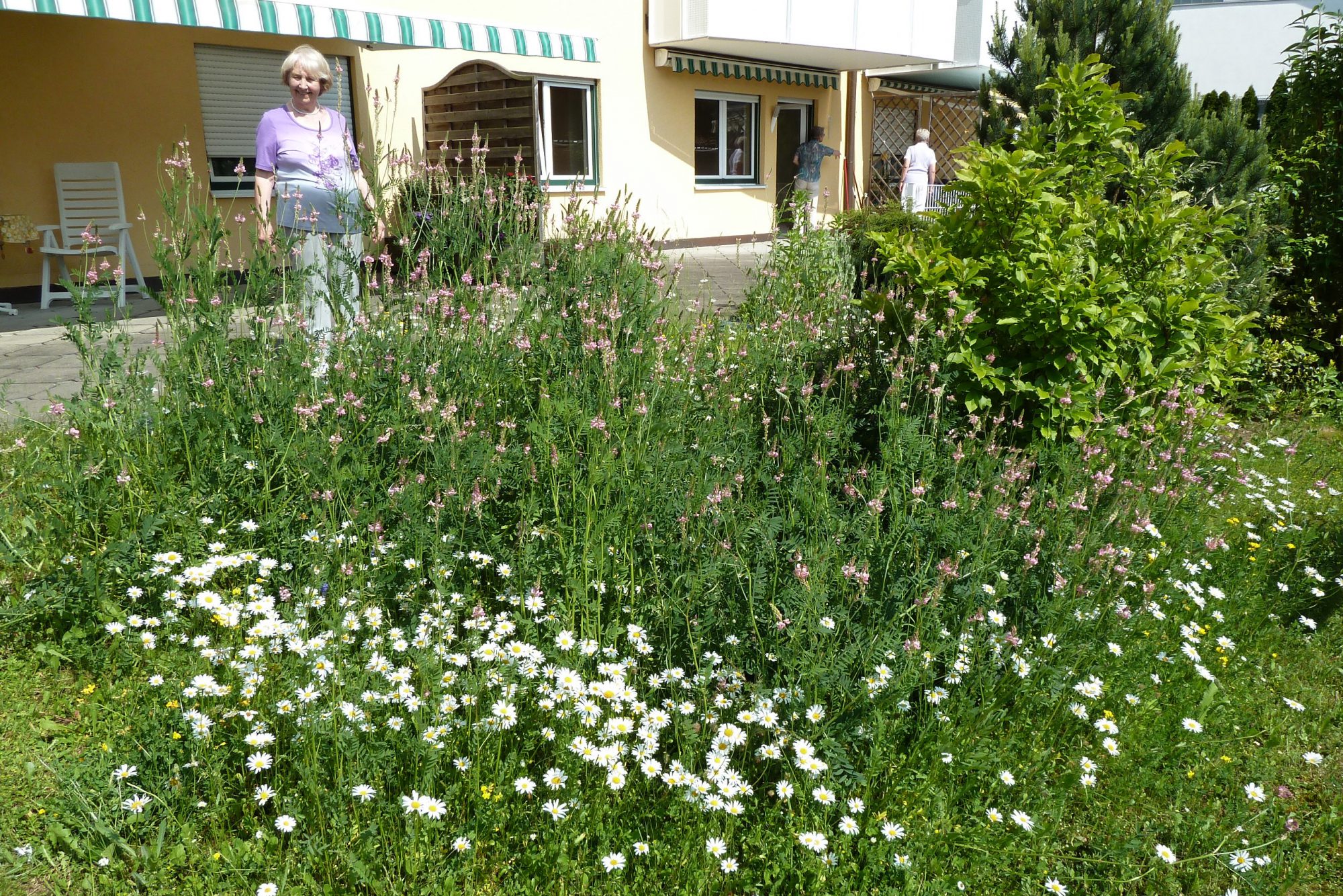 Sommerlicher Garten der Seniorenresidenz
